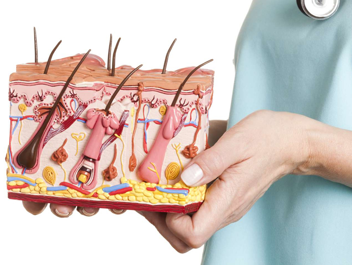 Dermatovenerology