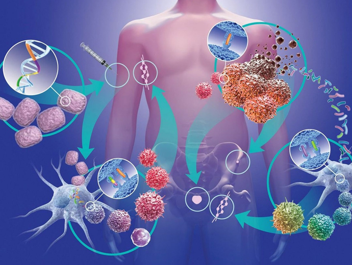 Infectious diseases and dermatovenerology