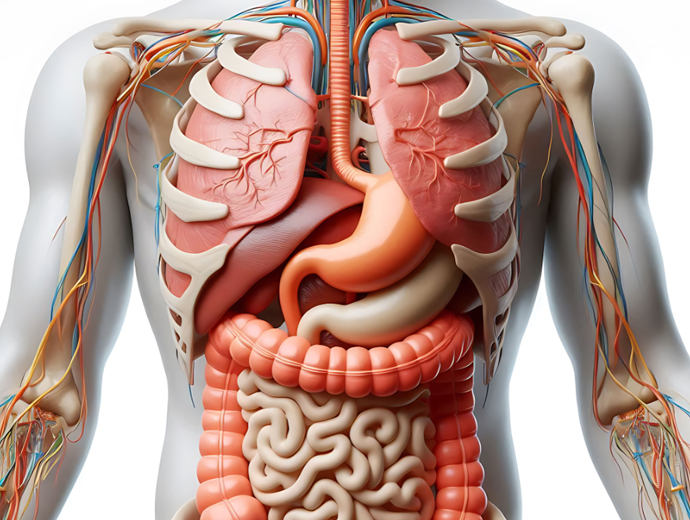 Pathological anatomy and forensic medicine