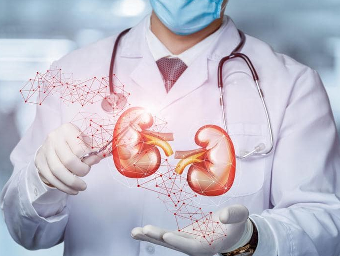 Urology and clinical pharmacology